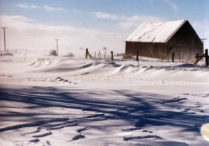 Roosevelt Street In Winter