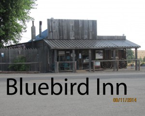 Bluebird Inn